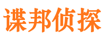 岭东市侦探调查公司